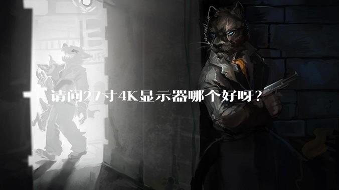 请问27寸4K显示器哪个好呀?