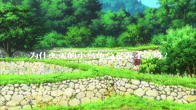 为什么买的小乌龟总是养不活呀？