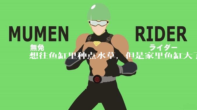 想往鱼缸里种点水草，但是家里鱼缸大了买水草泥或者底砂太贵了，有没有生活中可以替代的物品或其他建议？