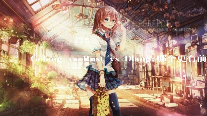 Golang vs Rust vs Dlang 哪个更有前途，哪位大牛这 3 门语言都用过？