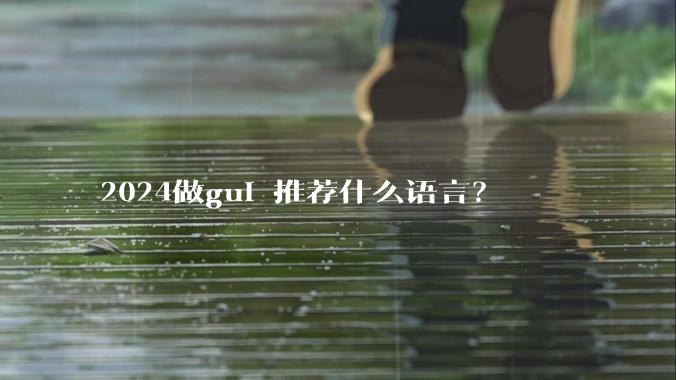 2024做gui 推荐什么语言？