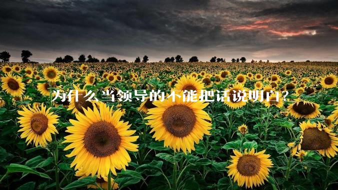 为什么当领导的不能把话说明白？