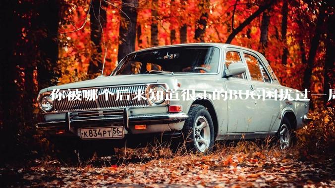 你被哪个后来知道很sb的BUG困扰过一周以上吗？