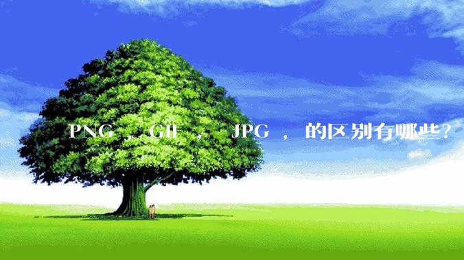 PNG ，GIF ， JPG ，的区别有哪些？