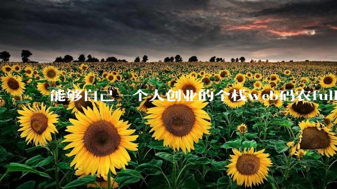 能够自己一个人创业的全栈web码农fullstack developer要会哪些技术？