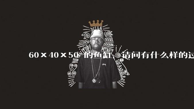 60×40×50 的鱼缸，请问有什么样的过滤器好用呢？