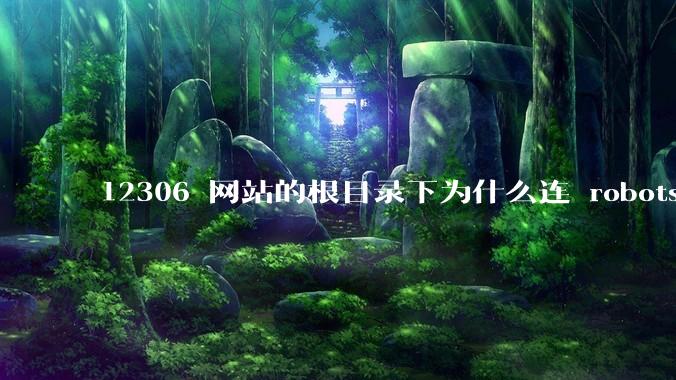 12306 网站的根目录下为什么连 robots.txt 文件（反爬虫协议）都没有？