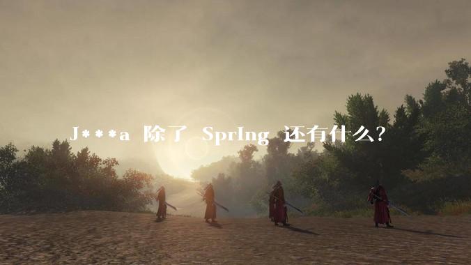 J***a 除了 Spring 还有什么？