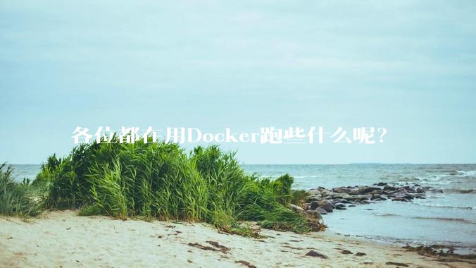 各位都在用Docker跑些什么呢?