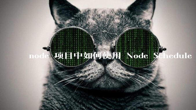 node 项目中如何使用 Node Schedule 创建定时任务？
